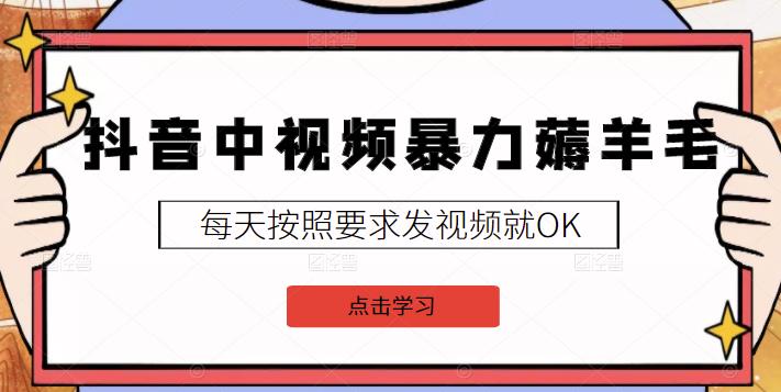 2022抖音中视频暴力薅羊毛白嫖项目：新号每天20块，老号几天几百块，可多号￼-天韵资源网