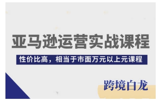 亚马逊运营实战课程，亚马逊从入门到精通，性价比高，相当于市面万元以上元课程-天韵资源网