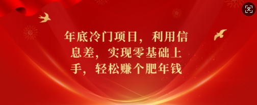 年底冷门项目，利用信息差，实现零基础上手，轻松赚个肥年钱【揭秘】-天韵资源网