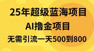 25年超级蓝海项目一天800+，半搬砖项目，不需要引流-天韵资源网