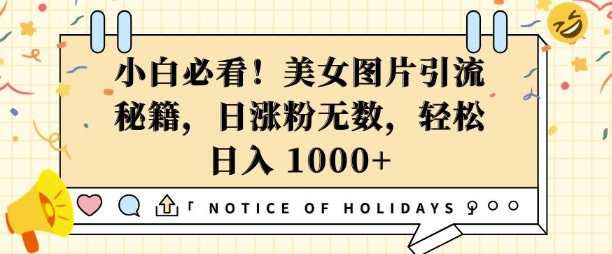 小白必看，美女图片引流秘籍，日涨粉无数，轻松日入几张【揭秘】-天韵资源网