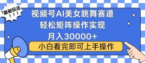视频号蓝海赛道玩法，当天起号，拉爆流量收益，小白也能轻松月入30000+-天韵资源网
