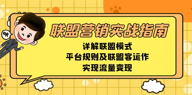 联盟营销实战指南，详解联盟模式、平台规则及联盟客运作，实现流量变现-天韵资源网