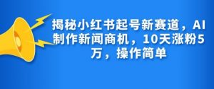 揭秘小红书起号新赛道，AI制作新闻商机，10天涨粉1万，操作简单-天韵资源网