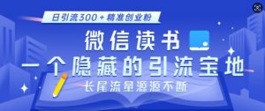 微信读书，一个隐藏的引流宝地，不为人知的小众打法，日引流300+精准创业粉，长尾流量源源不断-天韵资源网