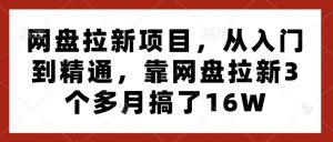 网盘拉新项目，从入门到精通，靠网盘拉新3个多月搞了16W-天韵资源网