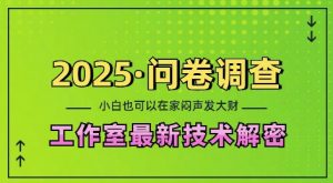 2025问卷调查最新工作室技术解密：一个人在家也可以闷声发大财，小白一天2张，可矩阵放大【揭秘】-天韵资源网