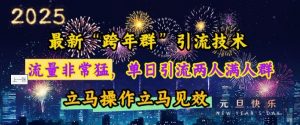 最新“跨年群”引流，流量非常猛，单日引流两人满人群，立马操作立马见效【揭秘】-天韵资源网