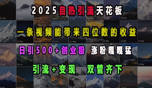 2025自热引流天花板，一条视频能带来四位数的收益，引流+变现双管齐下，日引500+创业粉，涨粉嘎嘎猛-天韵资源网