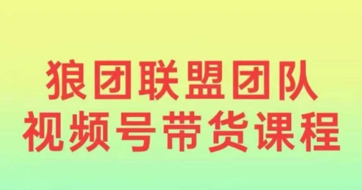 狼团联盟2024视频号带货，0基础小白快速入局视频号-天韵资源网
