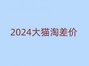 2024版大猫淘差价课程，新手也能学的无货源电商课程-天韵资源网