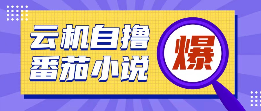 首发云手机自撸小说玩法，10块钱成本可撸200+收益操作简单【揭秘】-天韵资源网