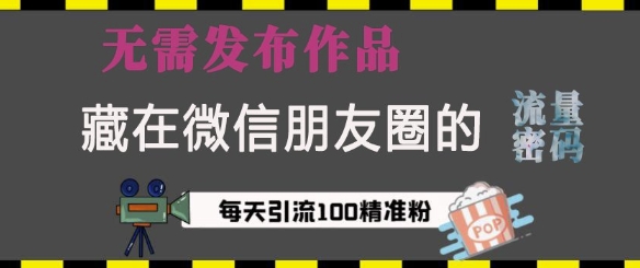 藏在微信朋友圈的流量密码，无需发布作品，单日引流100+精准创业粉【揭秘】-天韵资源网