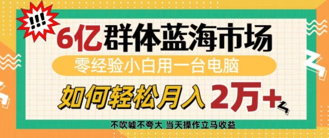 6亿群体蓝海市场，零经验小白用一台电脑，如何轻松月入过w【揭秘】-天韵资源网