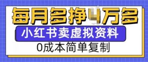 小红书虚拟资料项目，0成本简单复制，每个月多挣1W【揭秘】-天韵资源网