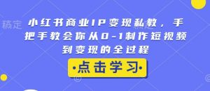小红书商业IP变现私教,手把手教会你从0-1制作短视频到变现的全过程-天韵资源网