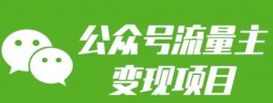 公众号流量主变现项目:每天2小时,普通人每月多挣三五千-天韵资源网