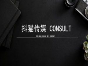 抖猫学院小红书聚光详细操作流程实操-天韵资源网