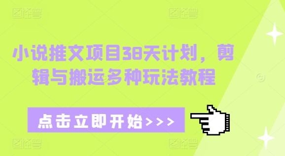 小说推文项目38天计划，剪辑与搬运多种玩法教程-天韵资源网