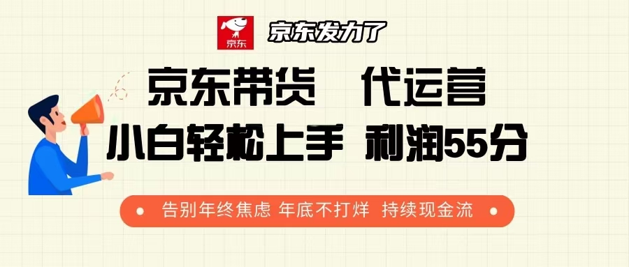 京东带货 代运营 利润55分 告别年终焦虑 年底不打烊 持续现金流-天韵资源网