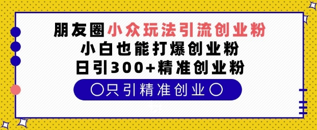 朋友圈小众玩法引流创业粉，小白也能打爆创业粉，日引300+精准创业粉【揭秘】-天韵资源网