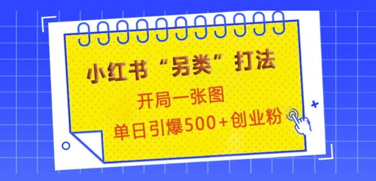 小红书“另类”打法，开局一张图，单日引爆500+精准创业粉【揭秘】-天韵资源网