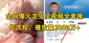 全网爆火龙宝宝视频全套操作流程，播放量2000万+-天韵资源网