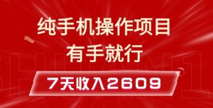 纯手机操作的小项目，有手就能做，7天收入2609+实操教程【揭秘】-天韵资源网
