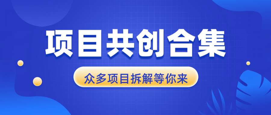 项目共创合集，从0-1全过程拆解，让你迅速找到适合自已的项目-天韵资源网