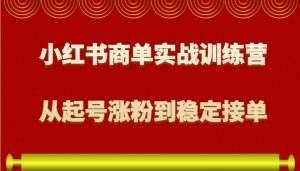 小红书商单实战训练营，从0到1教你如何变现，从起号涨粉到稳定接单，适合新手-天韵资源网