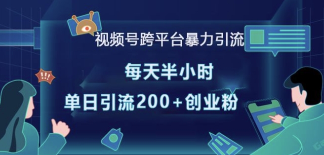 视频号跨平台暴力引流，每天半小时，单日引流200+精准创业粉-天韵资源网