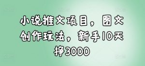 小说推文项目，图文创作玩法，新手10天挣3000-天韵资源网
