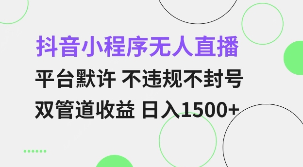 抖音小程序无人直播 平台默许 不违规不封号 双管道收益 日入多张 小白也能轻松操作【仅揭秘】-天韵资源网