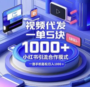 视频代发，一单5块，小红书引流合作模式，一部手机轻松日入多张【揭秘】-天韵资源网