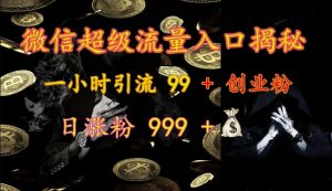 微信超级流量入口揭秘：一小时引流 99 + 创业粉，日涨粉 999 +-天韵资源网