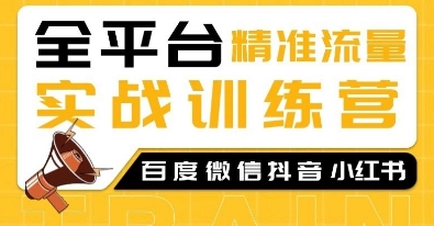全平台精准流量实战训练营，百度微信抖音小红书SEO引流教程-天韵资源网