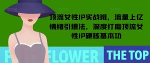 顶流女性IP实战班,流量上亿情绪引爆法,深度打磨顶流女性IP硬核基本功-天韵资源网