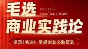 毛选商业实践论,读透《毛选》掌握创业必胜密匙-天韵资源网