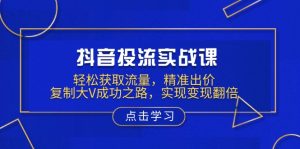 抖音投流实战课，轻松获取流量，精准出价，复制大V成功之路，实现变现翻倍-天韵资源网