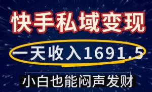 一天收入1691.5,快手私域变现,小白也能闷声发财-天韵资源网
