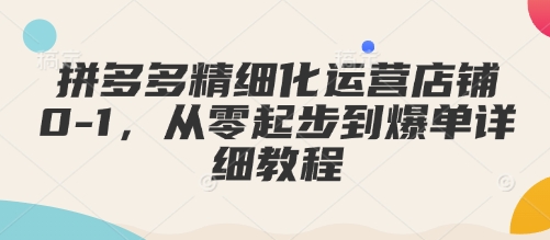 拼多多精细化运营店铺0-1，从零起步到爆单详细教程-天韵资源网