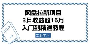 网盘拉新项目：3月收益超16万，入门到精通教程-天韵资源网