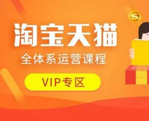淘宝天猫全体系运营课程：店铺全系运营、动销玩法、付费推广、流量提升、擦边球玩法等等-天韵资源网