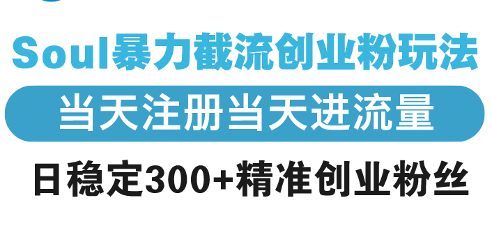 Soul暴力截流创业粉玩法，当天注册当天进流量，日稳定300+精准创业粉丝-天韵资源网