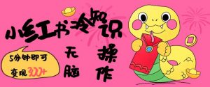 小红书冷知识账号，无脑复制粘贴，5分钟即可变现3张-天韵资源网