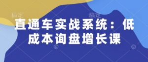 直通车实战系统：低成本询盘增长课，让个人通过技能实现升职加薪，让企业低成本获客，订单源源不断-天韵资源网