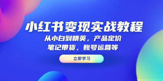 小红书变现实战教程：从小白到精英，产品定价，笔记带货，账号运营等-天韵资源网