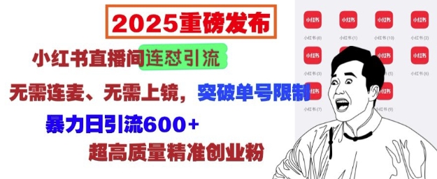 2025重磅发布：小红书直播间连怼引流，无需连麦、无需上镜，突破单号限制，暴力日引流600+-天韵资源网