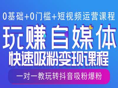 0基础+0门槛+短视频运营课程，玩赚自媒体快速吸粉变现课程，一对一教玩转抖音吸粉爆粉-天韵资源网
