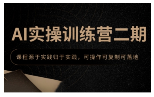 AI实操训练营二期，课程源于实践归于实践，可操作可复制可落地-天韵资源网